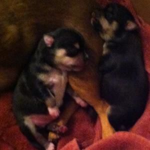 Meet your Posher, Vickie